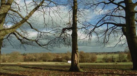 Timelapse of clouds in a English Park Stock Footage 33300397