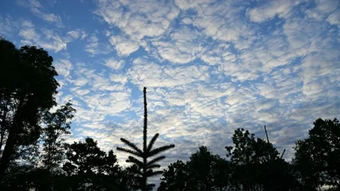 Timelapse of clouds in evening time. Stock Footage 136821391