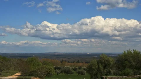 Timelapse of clouds in the field Stock Footage 115079953