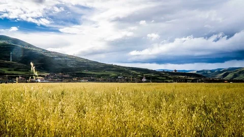 Timelapse of the clouds floating over the fields, Sichuan province, China Stock-Footage 82130663