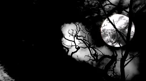 Timelapse clouds flowing past a bare tree at full moon 2 스톡 동영상 938251