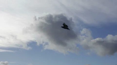 Timelapse clouds Stock Footage 35311684