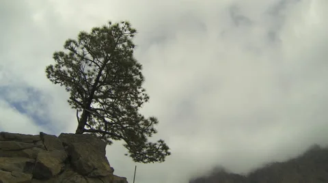 Timelapse Clouds Video stock 64594105