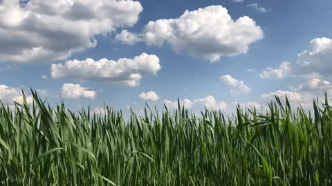 Timelapse Clouds 库存影片 131114665