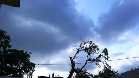 Timelapse of clouds Stock Footage 167051188