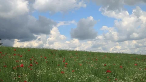 Timelapse of clouds Stock Footage 243373484