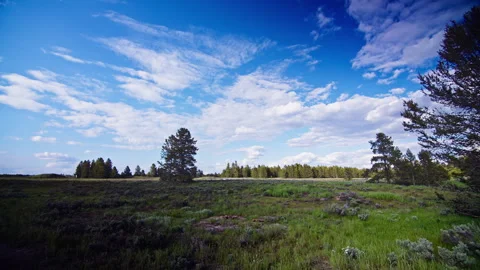 Timelapse of Clouds Forest In Idaho Stock Footage 247748069