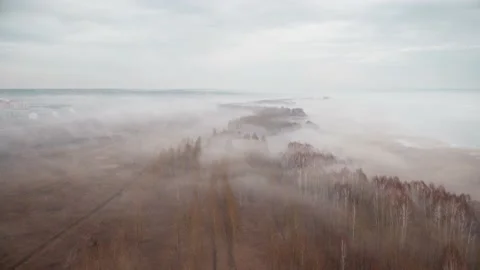 Timelapse clouds in forest, shooting from drone Stock Footage 184826680