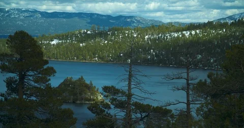 Timelapse of clouds forming over trees 動画素材 109255941