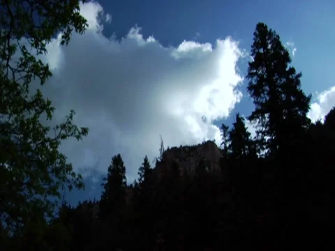 Timelapse Clouds Framed by Tree and Mountain Silhouette 動画素材 8570353