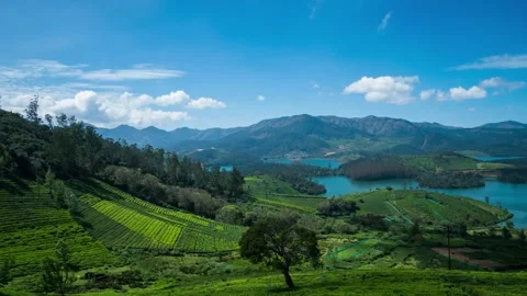 Timelapse of clouds hovering over a tea estate in Ooty, Nilgiris, India Vidéo 145929732