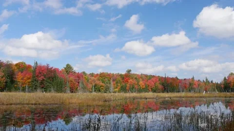 Timelapse of clouds, lake and fall colors in Canada Stock Footage 159201952