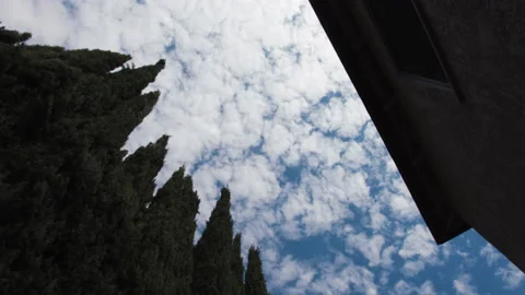 Timelapse of Clouds, looking up between a Building and a set Trees Stock Footage 137925336