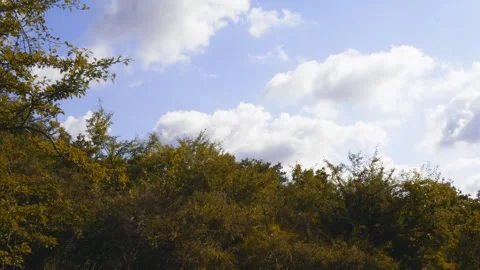 Timelapse of clouds, meadow POV Stock Footage 245971591
