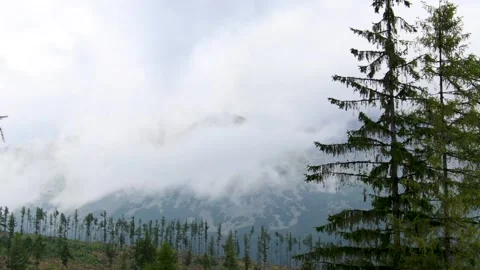 Timelapse of clouds in the mountain during a rainy day Vídeos de archivo 152976032