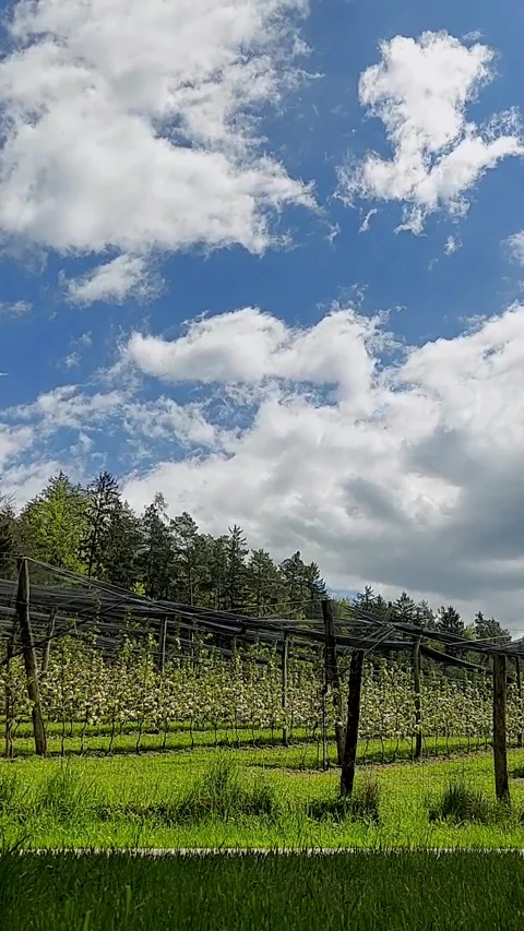 Timelapse clouds move across the sky. Stock Footage 241265270