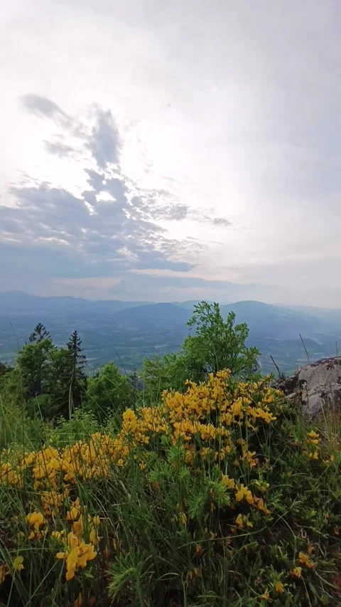 Timelapse clouds move across the sky in the mountains Stock Footage 241794327