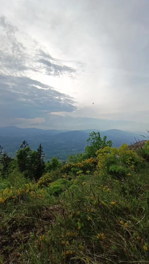 Timelapse clouds move across the sky in the mountains Video stock 241794401