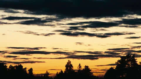 Timelapse - Clouds move along the horizon behind the treetops. The sun is Stock Footage 164667738