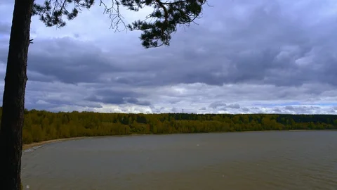 TimeLapse. The clouds move over the lake shore in the background. The tree Stock Footage 93935799