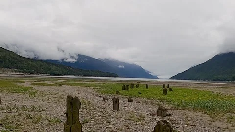 Timelapse-Clouds move over ruins of Dyea wharf-remains of 1897 gold rush town Stock Footage 208940248