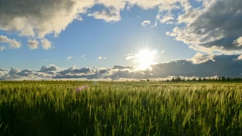 Timelapse. Clouds move quickly across the blue sky over a green fields Stock Footage 199481549