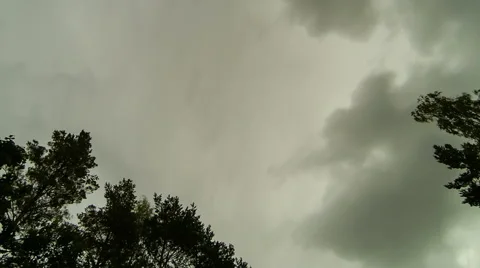 Timelapse of clouds moving above tree canopies in cloudy sky Stock Footage 54922769