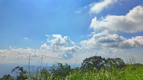 Timelapse Of Clouds Moving Across Blue Sky Over Forest Stock Footage 346266181