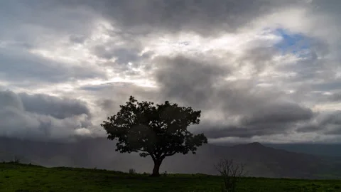 Timelapse - Clouds moving during rainy season with tree in foreground 4K30 Stock Footage 268971430