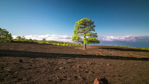 Timelapse of a clouds moving fast in the mountains volcano Teide on Tenerife Stock Footage 150907535