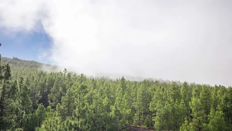 Timelapse of a clouds moving fast in the mountains volcano Teide on Tenerife Stock Footage 150909254