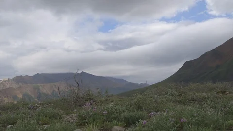 Timelapse Clouds Moving in Over Denali National Park Landscape Stock Footage 121478423