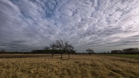 Timelapse clouds moving over the field.  Stock Footage 73810251
