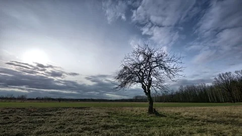 Timelapse clouds moving over the field.  Stock Footage 73810285