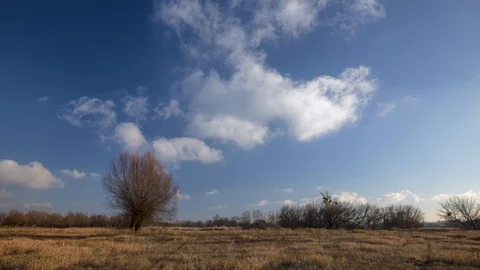 Timelapse clouds moving over the field. Stock-Footage 99932365