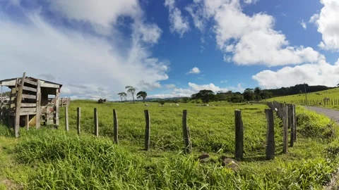 Timelapse of Clouds Moving Over Green Pasture with Grazing Cows 動画素材 316719321