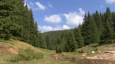 Timelapse clouds moving over mountain forest 스톡 동영상 31463884