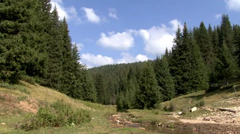 Timelapse clouds moving over mountain forest Stock-Footage 32221619