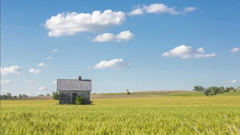 Timelapse of clouds moving over small house in Kansas wheat field Stock Footage 94611421