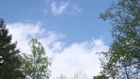 Timelapse - Clouds moving over trees Stock Footage 81755683