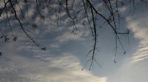 Timelapse of clouds near sunset Video stock 22211087