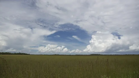 Timelapse Of Clouds Over Everglades Stock Footage 27136824