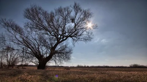 Timelapse clouds over the field Stock-Footage 61298972