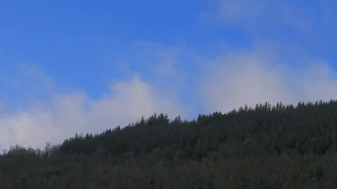 Timelapse of clouds over forest 스톡 동영상 125554318