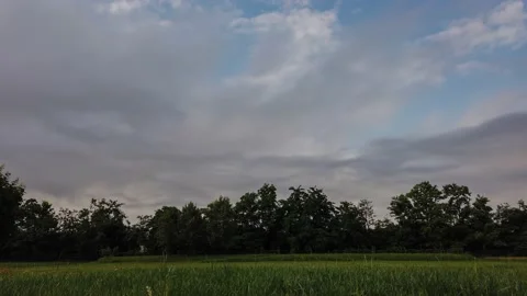 Timelapse Clouds Over the Forest in the Garden Stock Footage 132340363