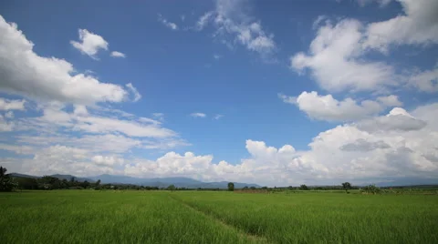 Timelapse clouds over the green field. 4K, 4096x2304. Stock Footage 54655980