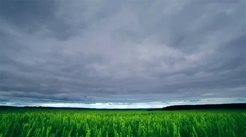 Timelapse clouds over the green field Video stock 62171504