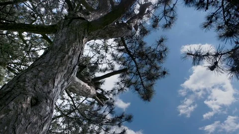 Timelapse clouds over the green field. 스톡 동영상 75420635
