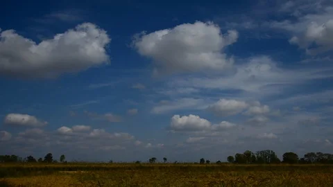 Timelapse clouds over the green field. FULL HD Stock Footage 90783242