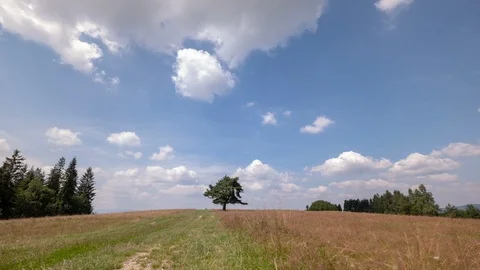 Timelapse clouds over the green field. Stock Footage 93132179